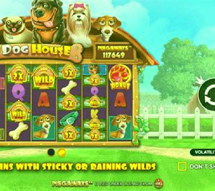 Dog House Bonanza slot