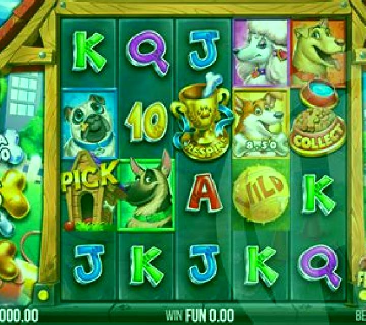 Dog Pound Dollars slot machine