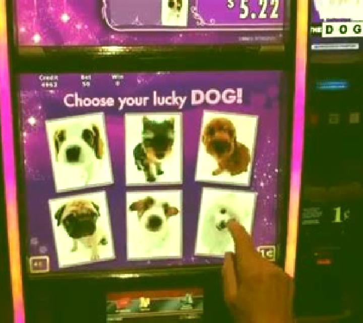 Doggie Star slot machine
