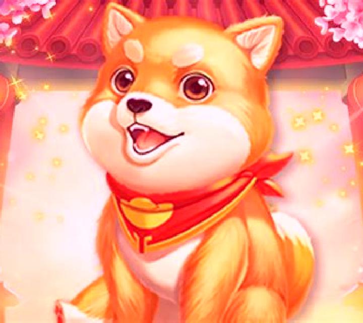 Doggone Lucky slot game