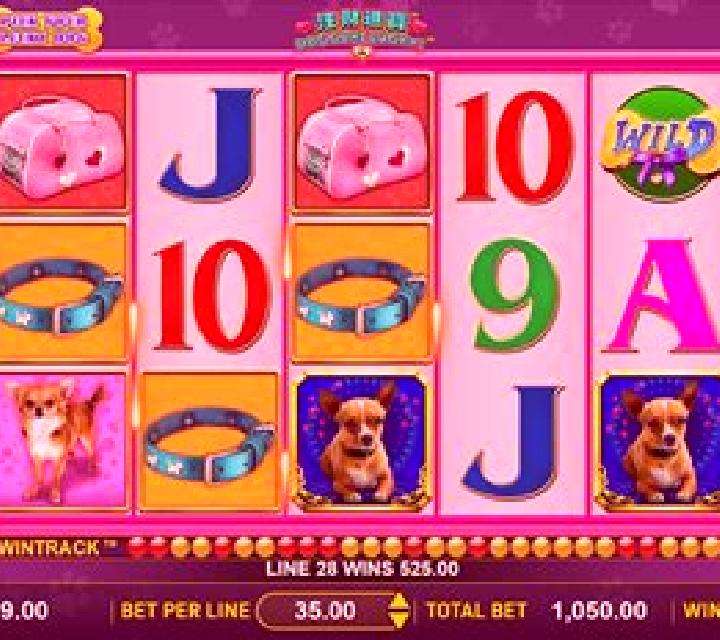 Doggone Lucky slot