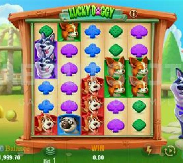 Doggy Miner slot game