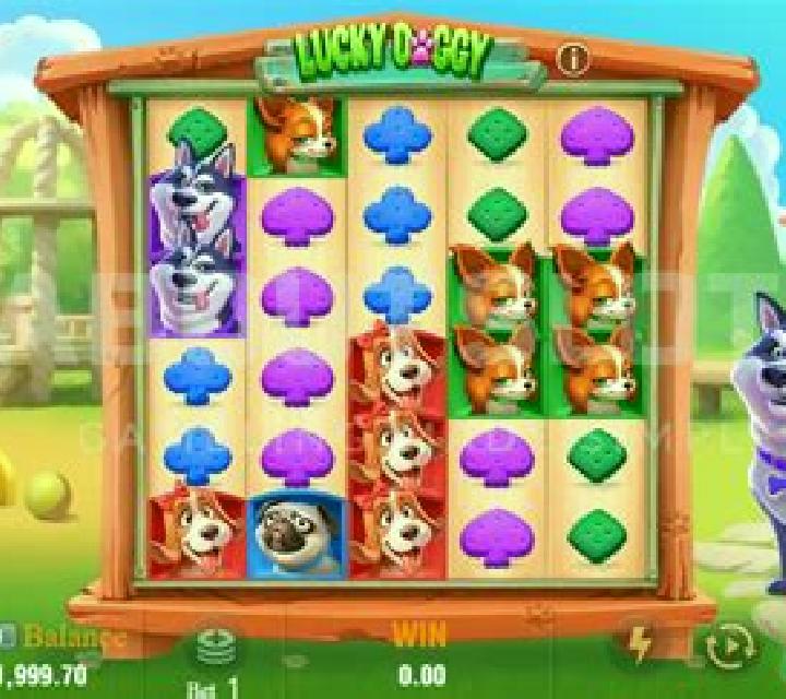 Doggy Wealth slot game