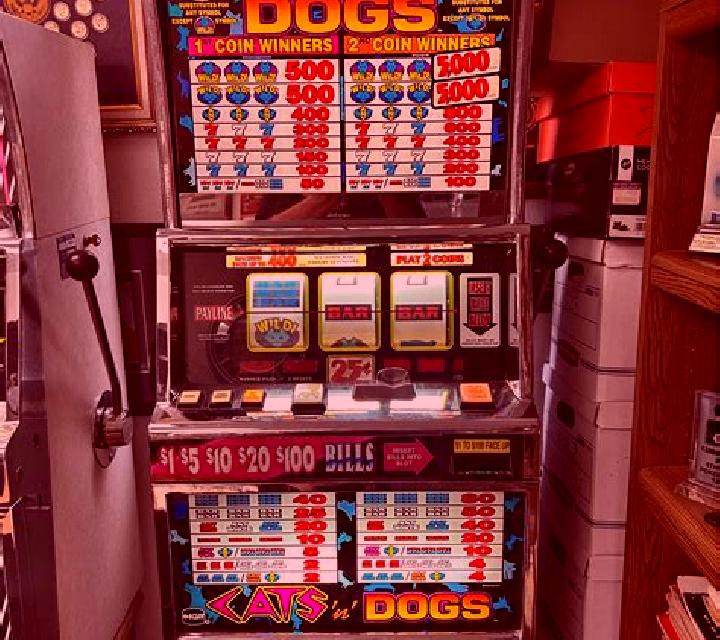 Dogs slot machine