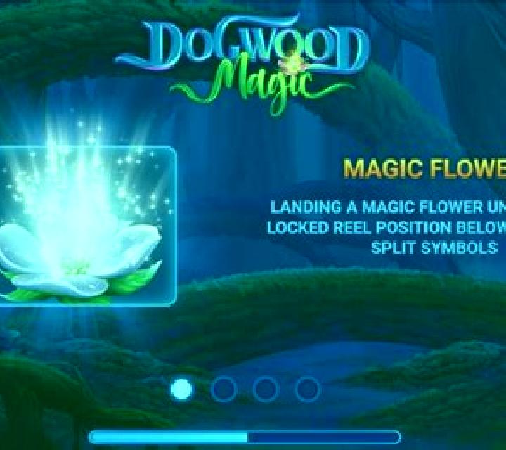 Dogwood Magic slot game