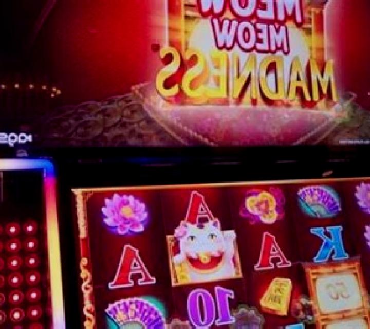 Dojo Meow slot machine