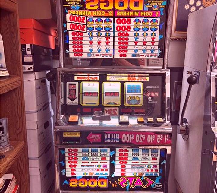 Dollar Dogs Deluxe slot game