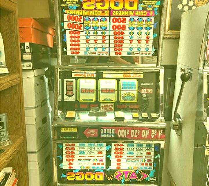 Dollar Dogs Deluxe slot machine