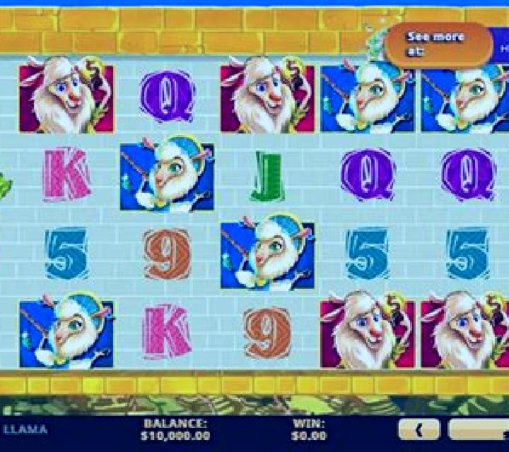 Dollar Llama online slot