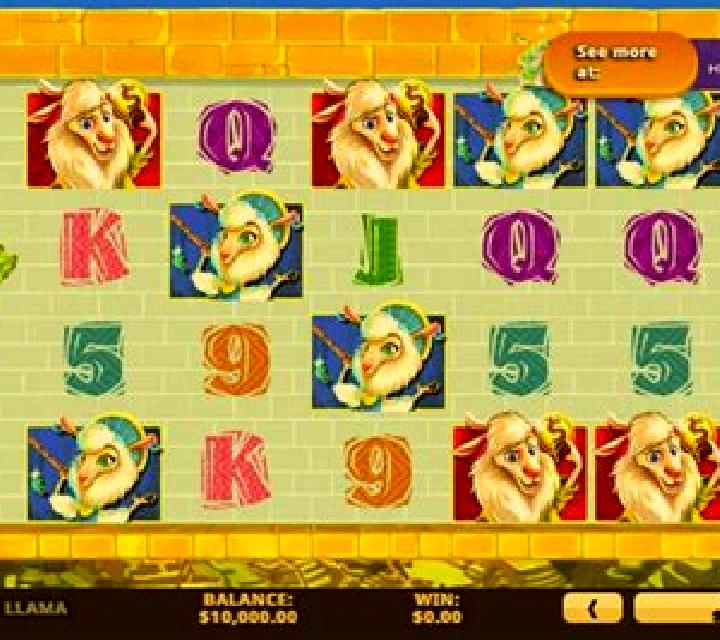 Dollar Llama slot