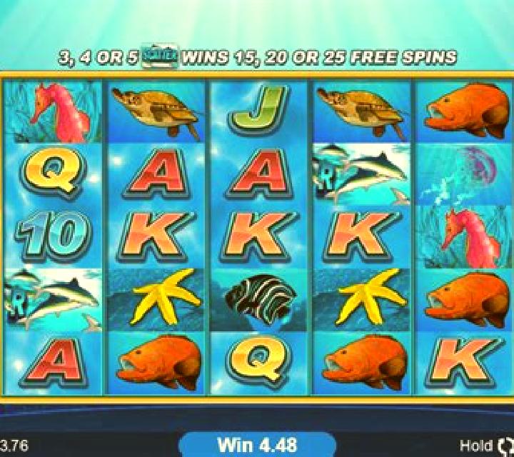 Dolphin Coast slot machine