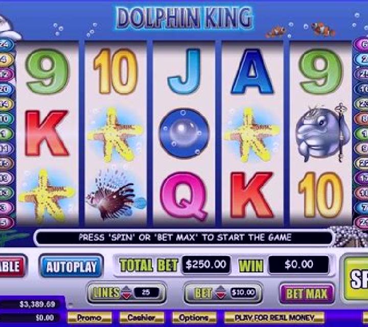 Dolphin King slot