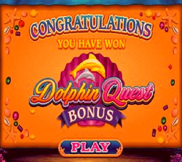 Dolphin Quest slot