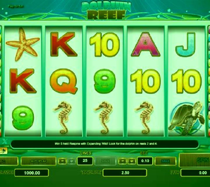 Dolphin Reef (Playtech) slot machine