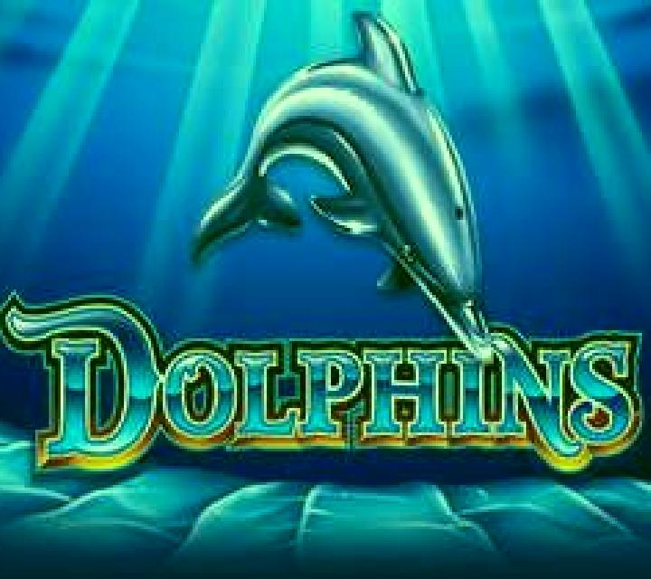 Dolphins Ainsworth slot game