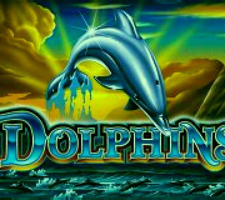 Dolphins Ainsworth slot machine