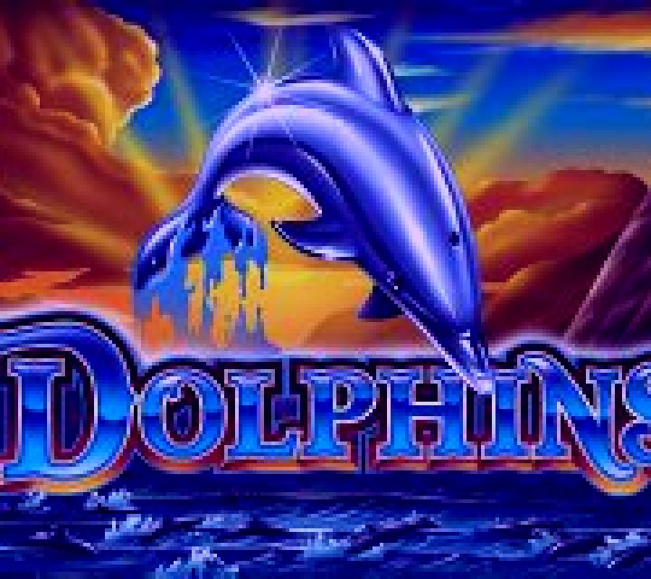 Dolphins Ainsworth slot