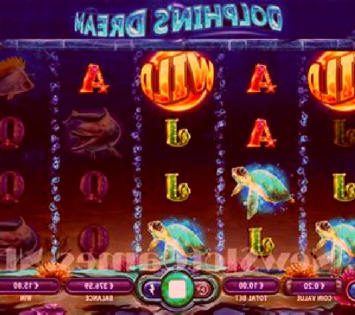 Dolphins Dream slot