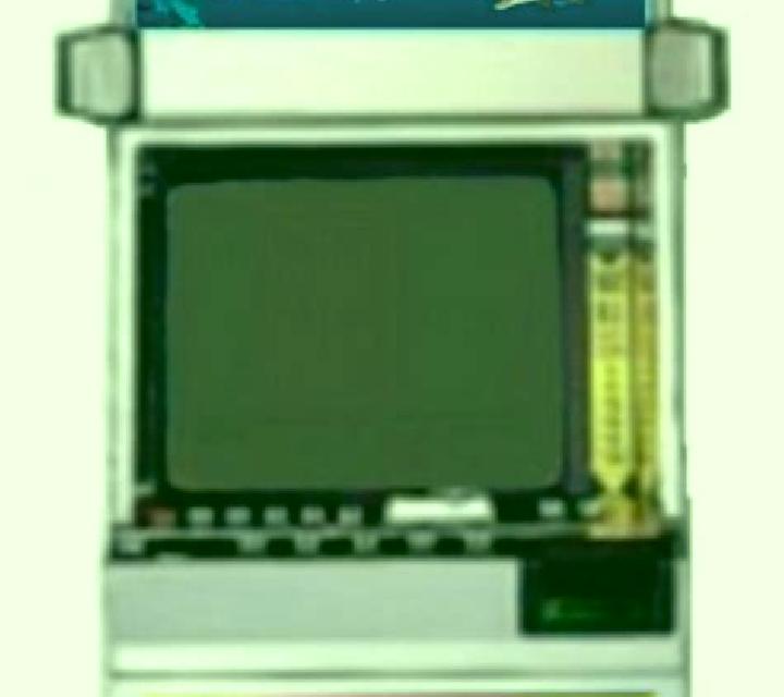 Dolphins Shell slot game