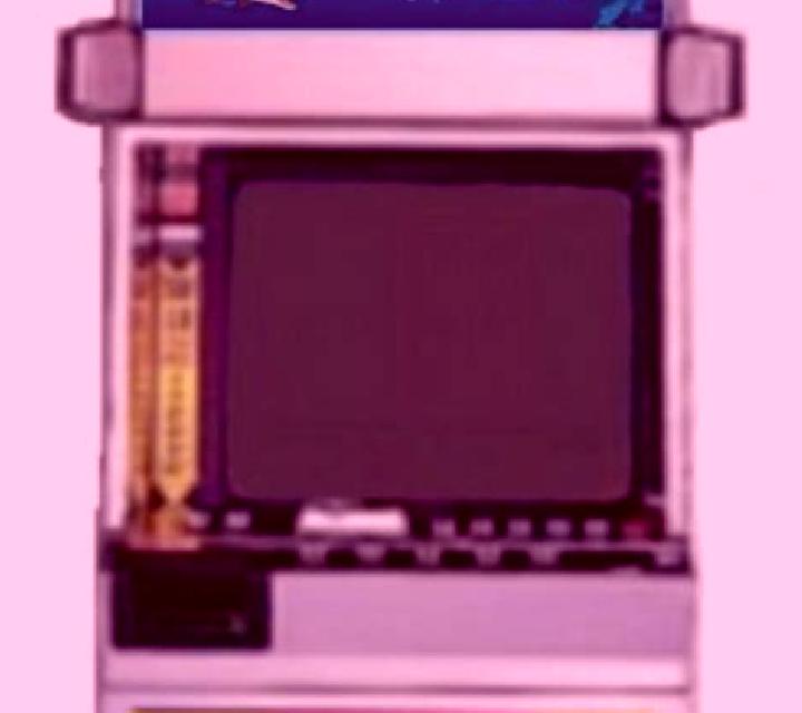 Dolphins Shell slot machine