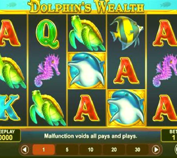 Dolphin s Wealth slot