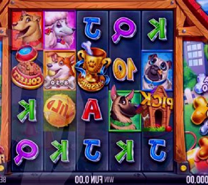 Donkey Dollars slot game