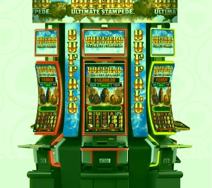 Double Buffalo Spirit online slot