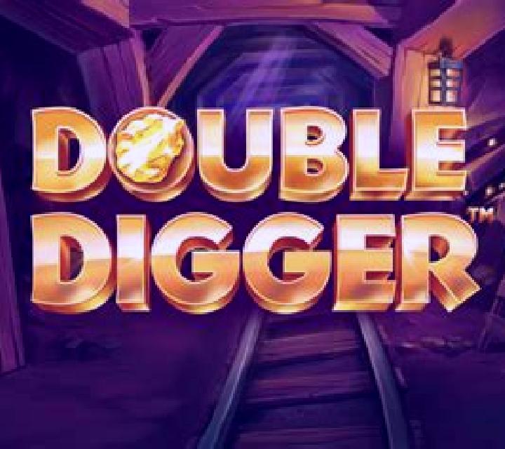 Double Digger slot