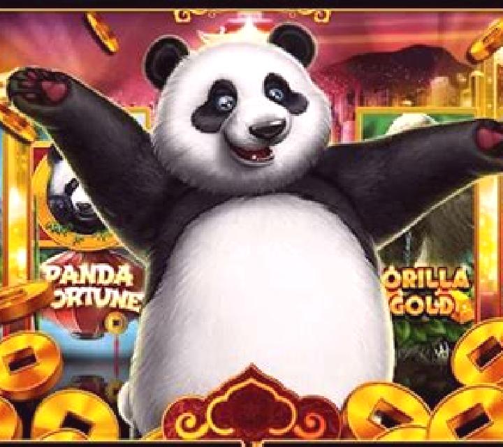Double Fortune Panda slot game