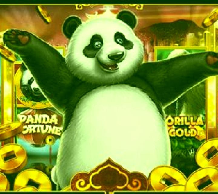Double Fortune Panda slot