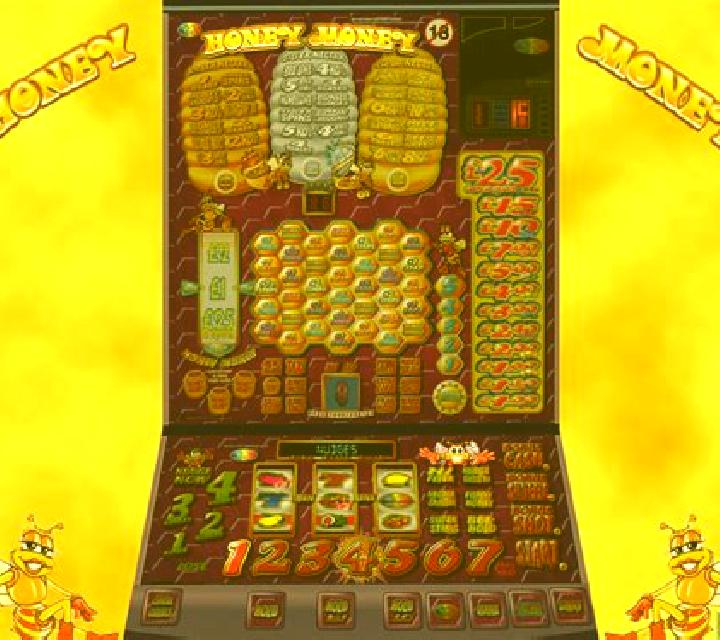 Double Honey Money slot game