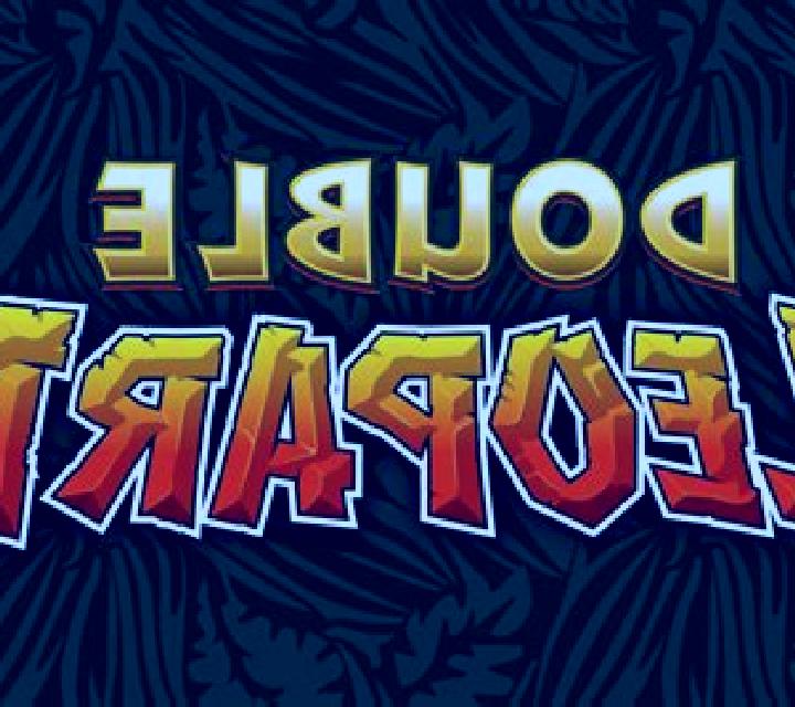 Double Leopard online slot