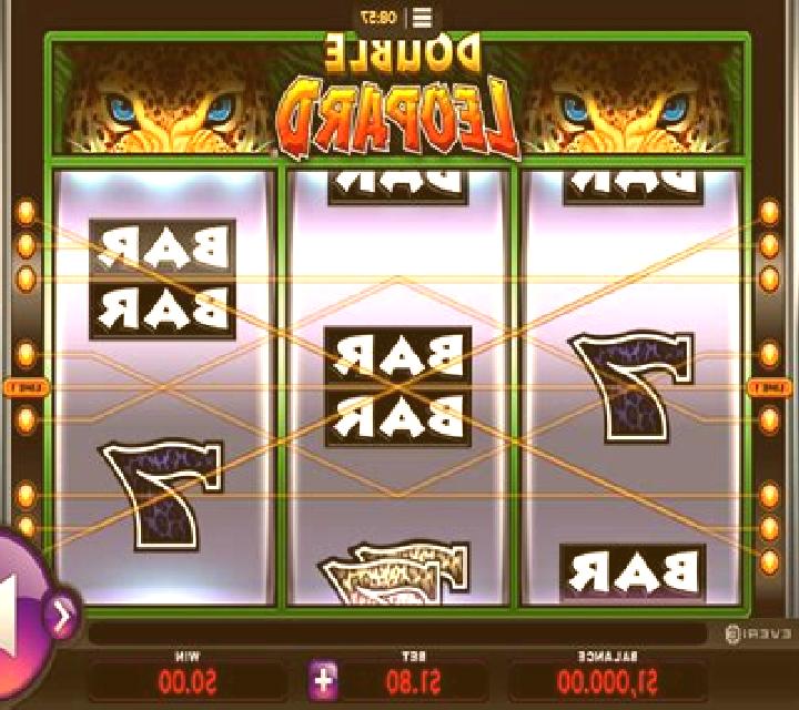 Double Leopard slot game