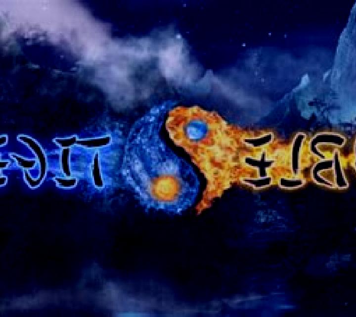 Double Tigers online slot