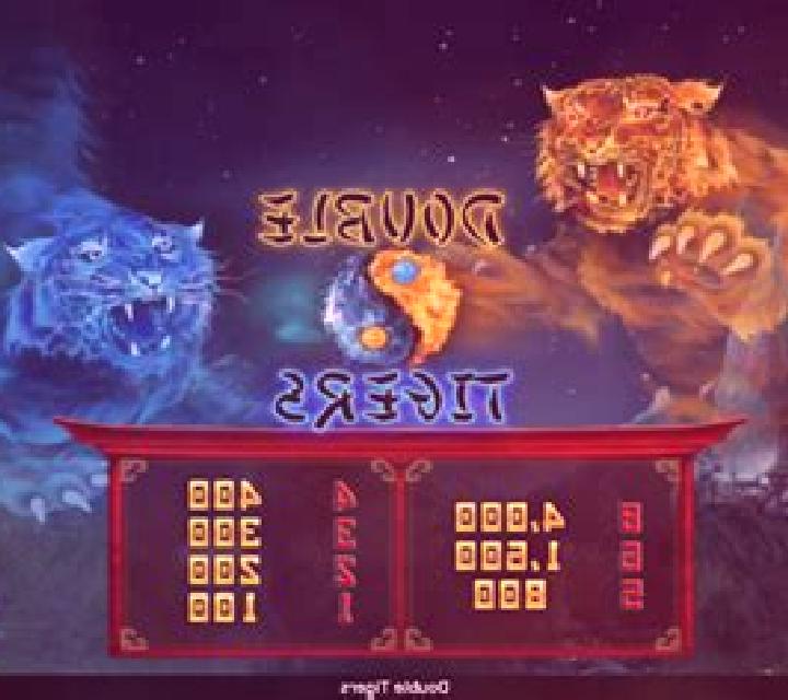 Double Tigers slot game