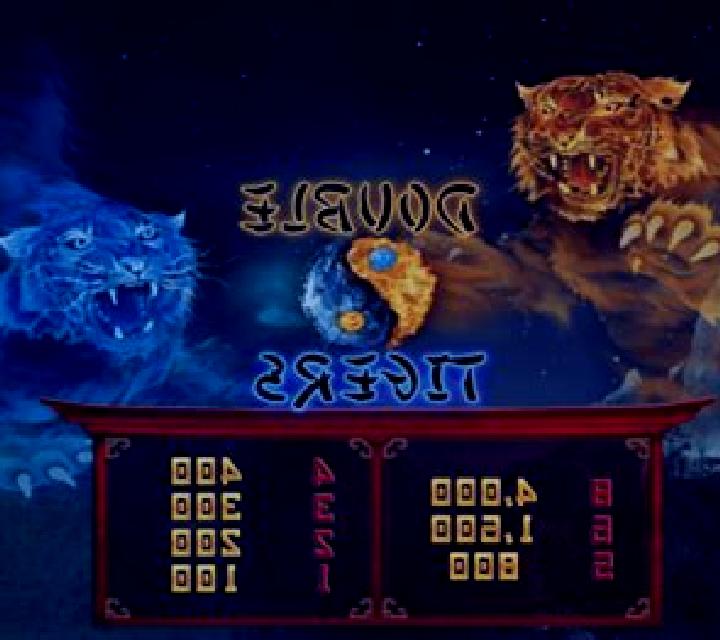 Double Tigers slot machine