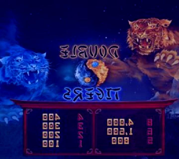 Double Tigers slot