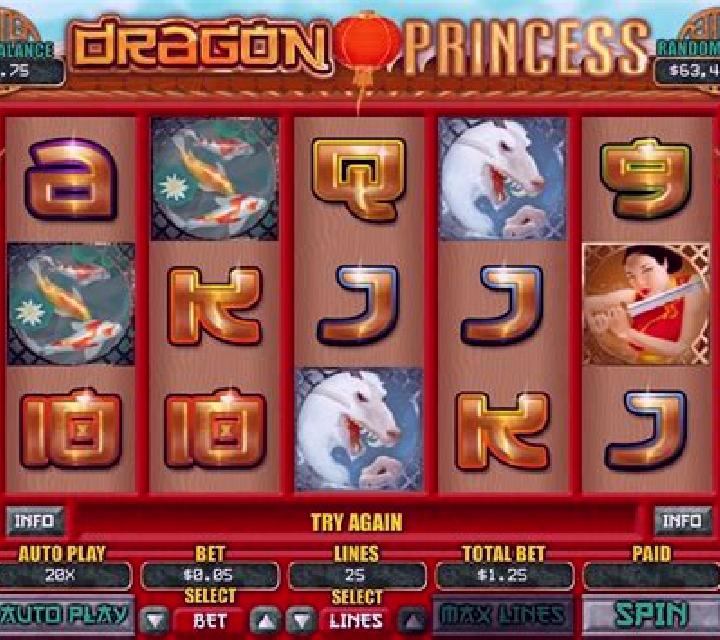 Dragon Princess (RTG) slot game