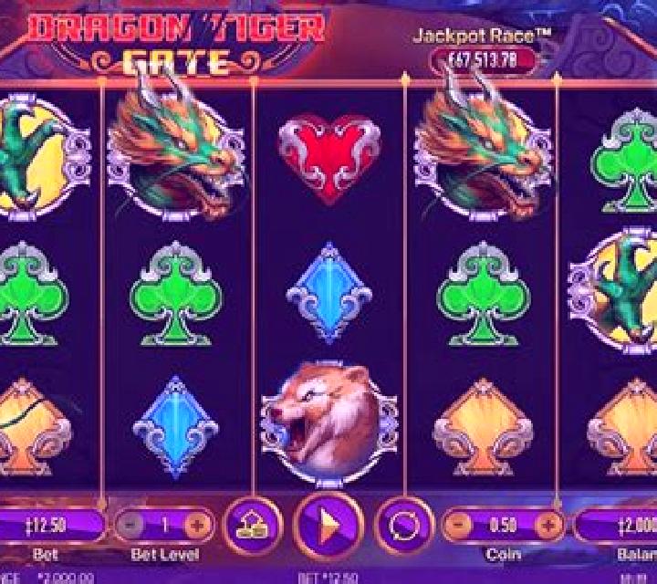 Dragon Tiger Gate slot