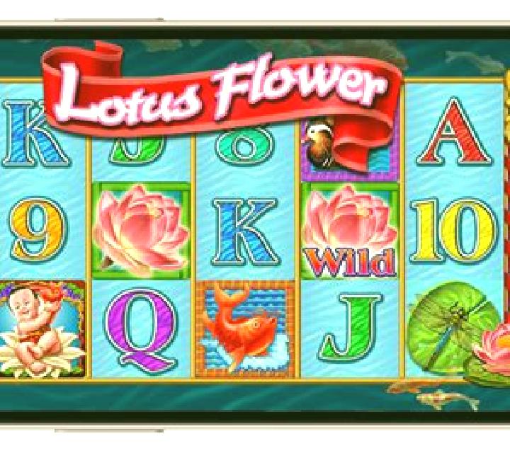 Dragon s Flower slot game
