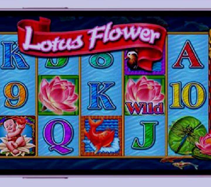 Dragon s Flower slot machine