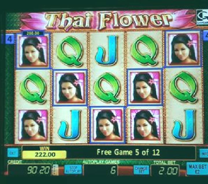 Dragon s Flower slot