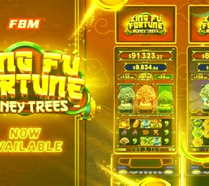 Dragon s Fortune (FBM Digital Systems) slot machine