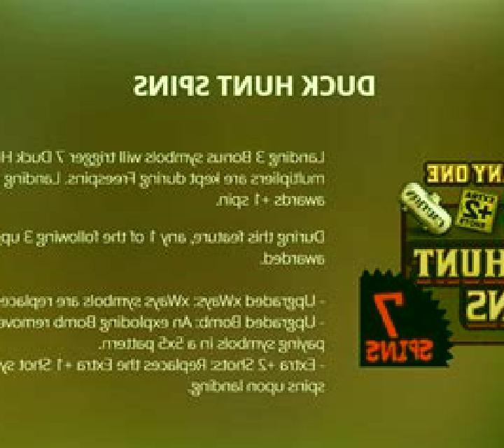 Duck Around slot game