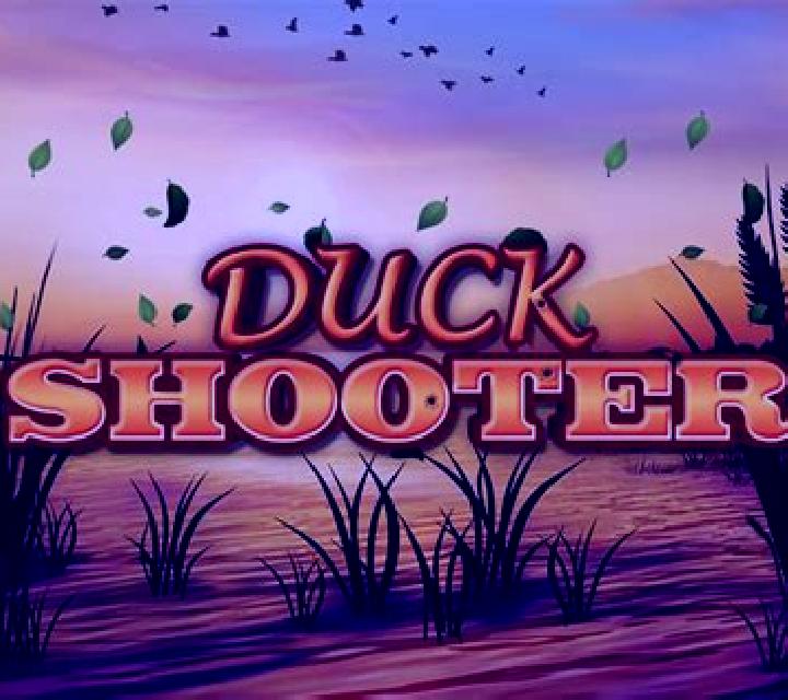 Duck Shooter slot