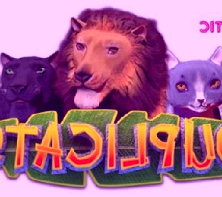 Duplicats slot game