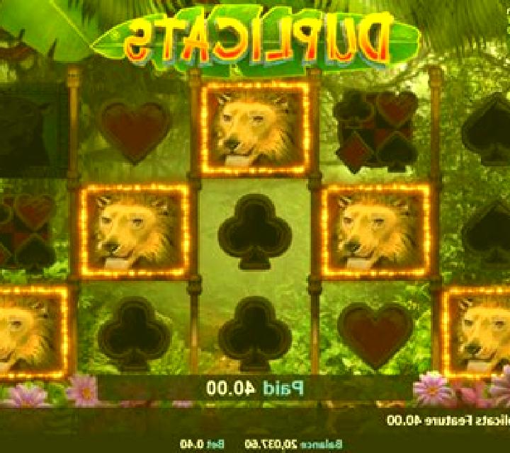 Duplicats slot machine