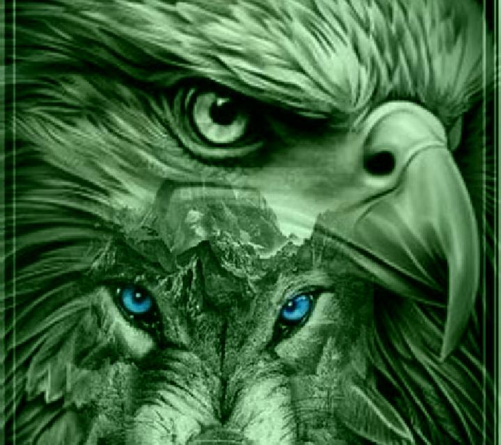 Eagle And Wolf online slot