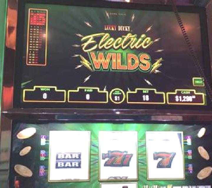 Electric Wilds slot machine