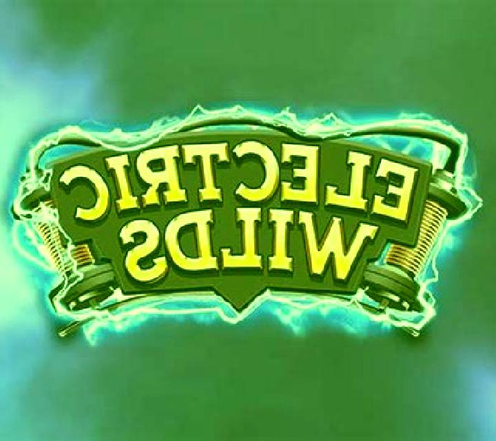 Electric Wilds slot